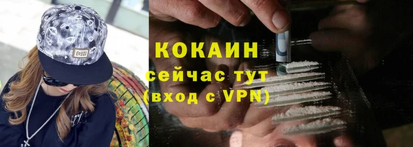 индика Абдулино