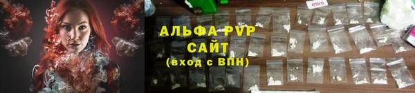 индика Новодвинск