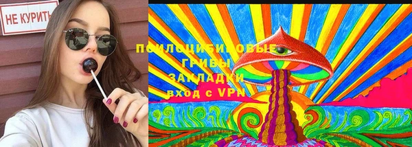 индика Абдулино