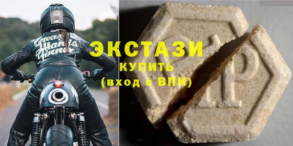 индика Новодвинск
