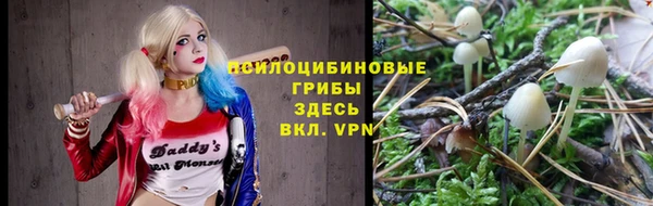 круглые Алзамай